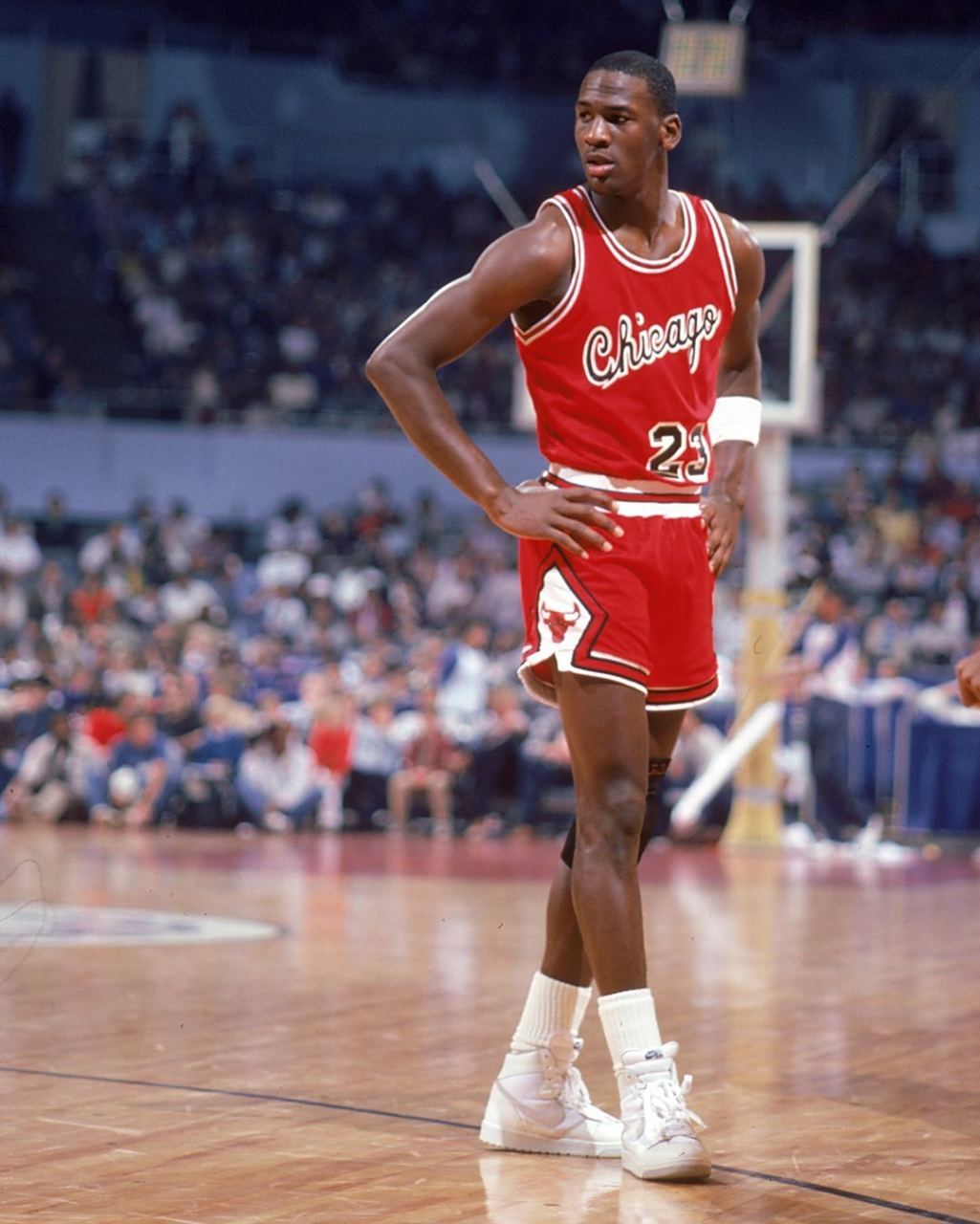 他们的故事 他们的故事