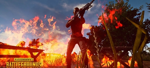 他们都会精 他们都会精