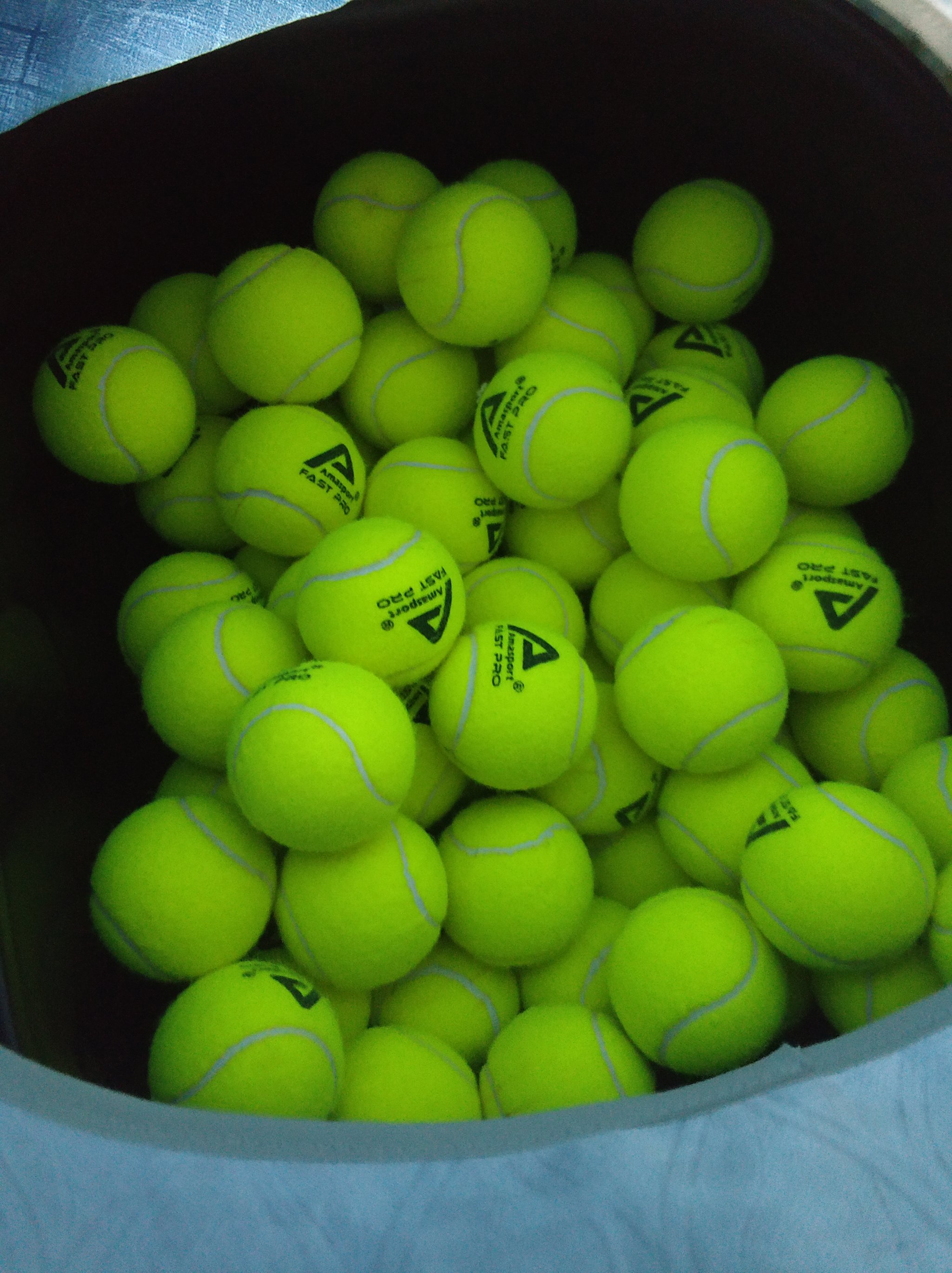 自由球员凯 自由球员凯